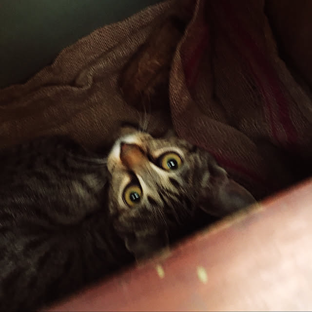 Mさんの実例写真