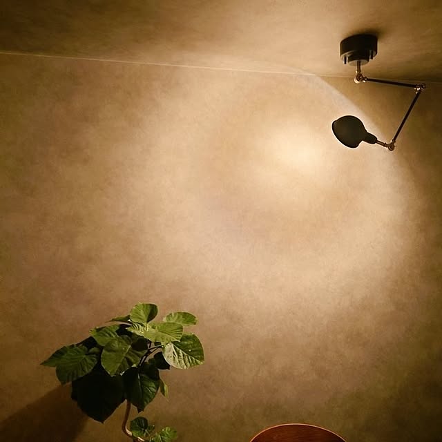 ikaihCさんの部屋