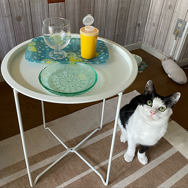 SHIHOさんの実例写真