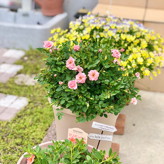 Junさんの部屋