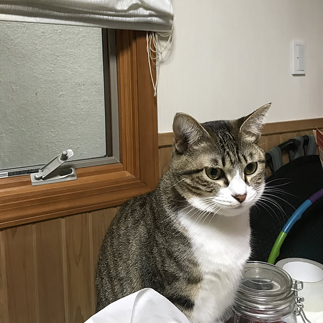 fujisuzu0008さんの実例写真