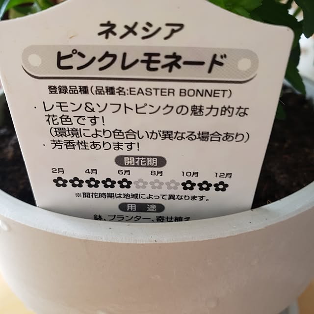 yukiさんの部屋