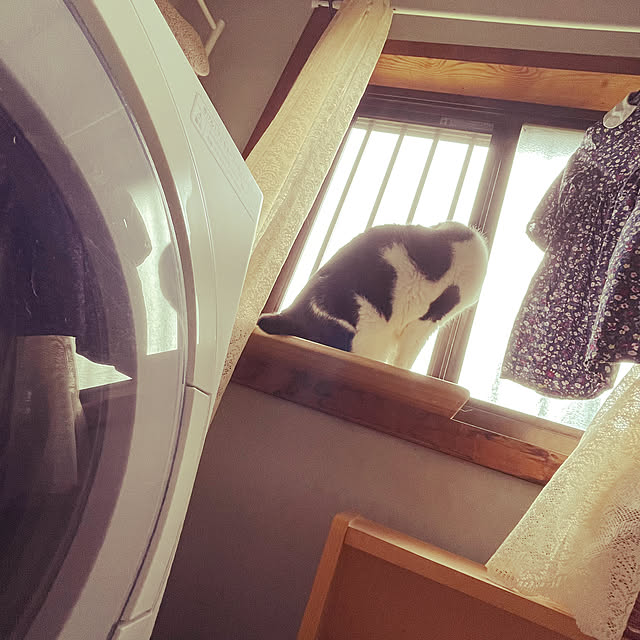 nekosamaさんの部屋