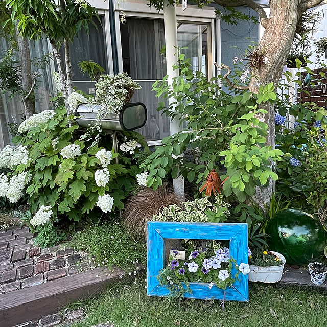 nobikoさんの部屋