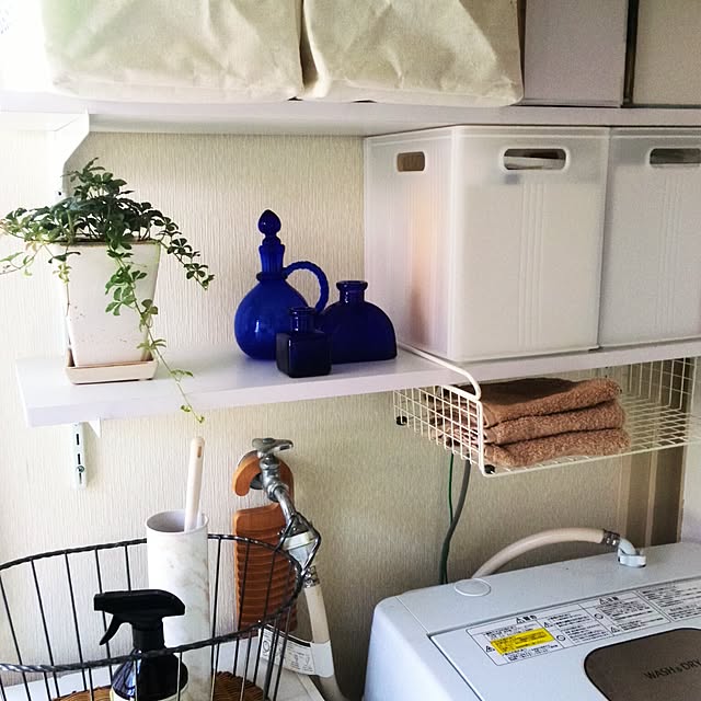 Renさんの実例写真