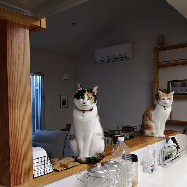 koyurizuさんの実例写真