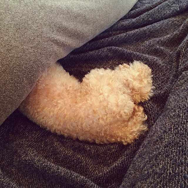 kznrさんの実例写真