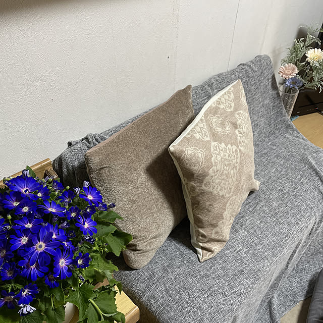 Chipさんの実例写真