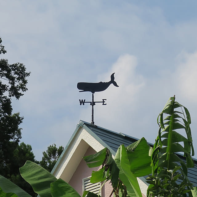sixflagsさんの実例写真