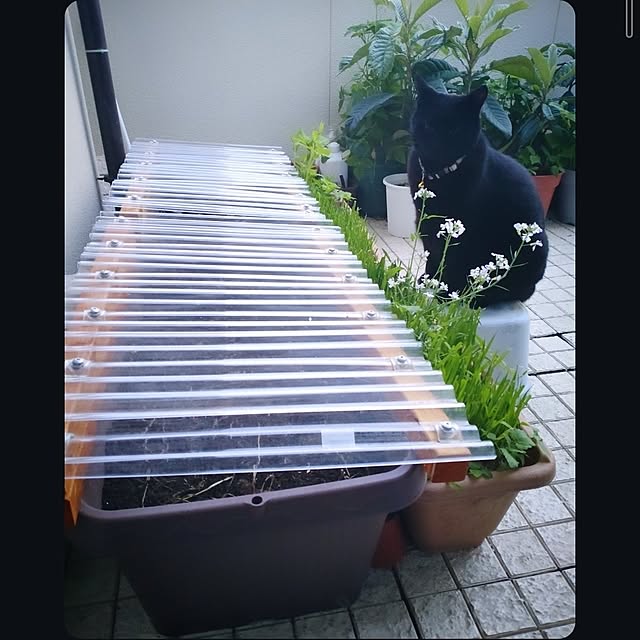mntcさんの実例写真