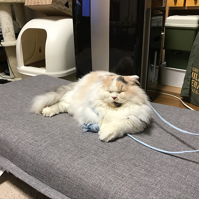 keibooさんの実例写真