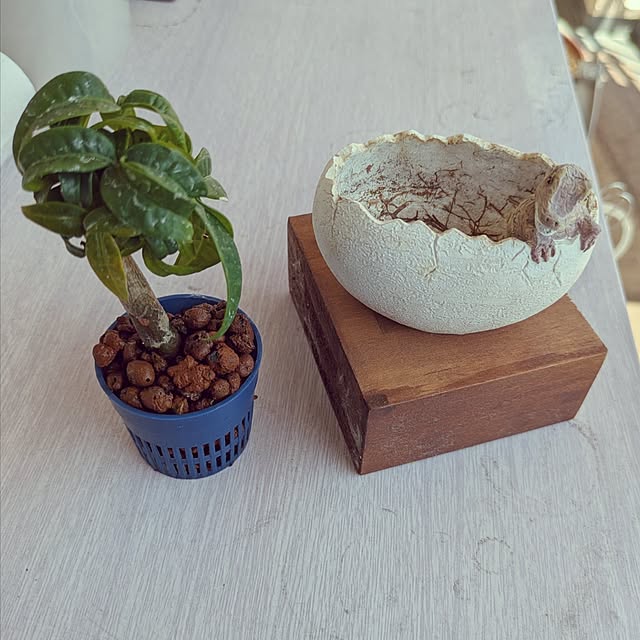 mi-saさんの部屋
