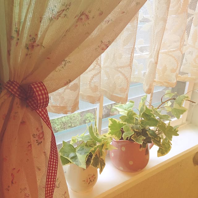 yumicyanさんの実例写真