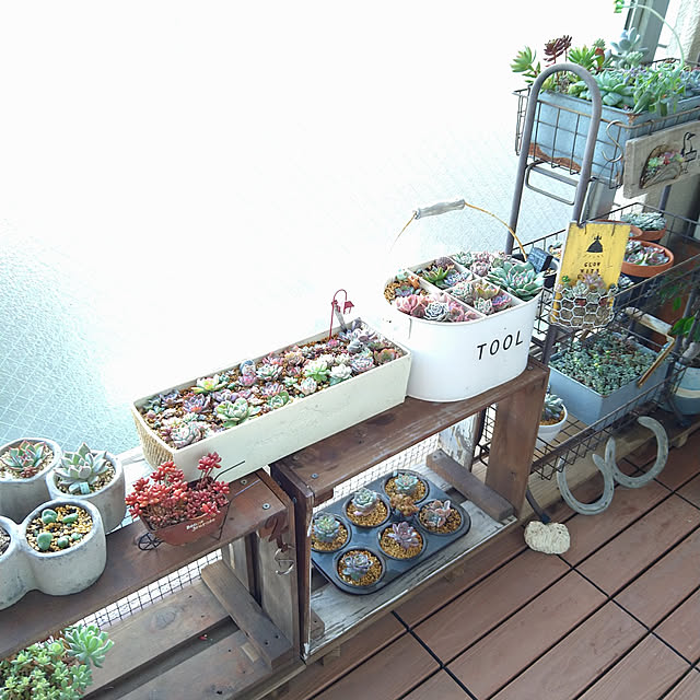 sakusakuさんの実例写真