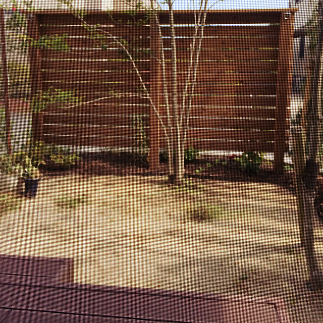 yucciさんの実例写真