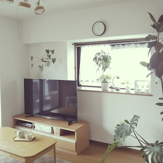 部屋全体/観葉植物/3COINS/キャンドゥ/salut!...などのインテリア実例 - 2021-04-18 12:04:26