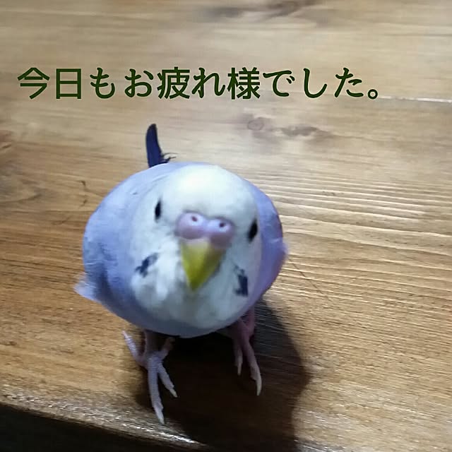 karinさんの実例写真