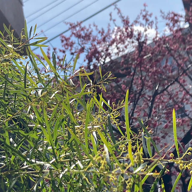 amiromikaさんの部屋