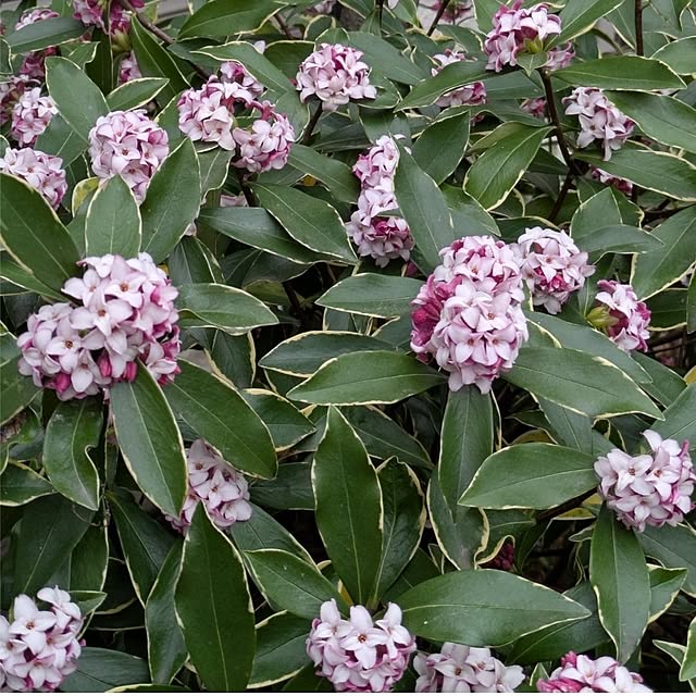 ku-garnet18さんの部屋