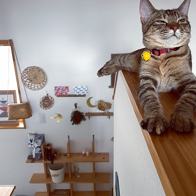 niko.mamさんの実例写真