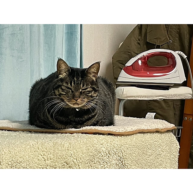 momocchiさんの実例写真
