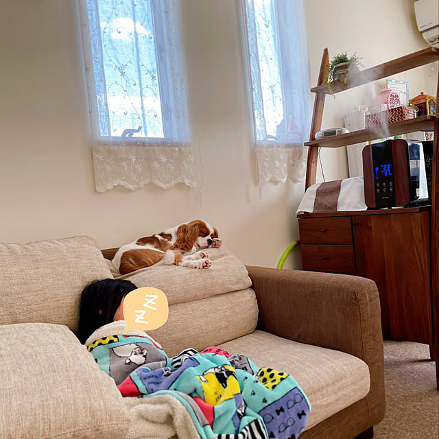 k.k.kinokoさんの実例写真