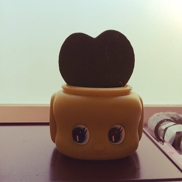 Chiakiさんの実例写真