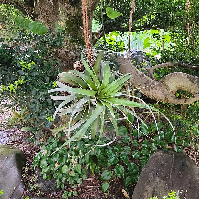 Rubiconさんの部屋