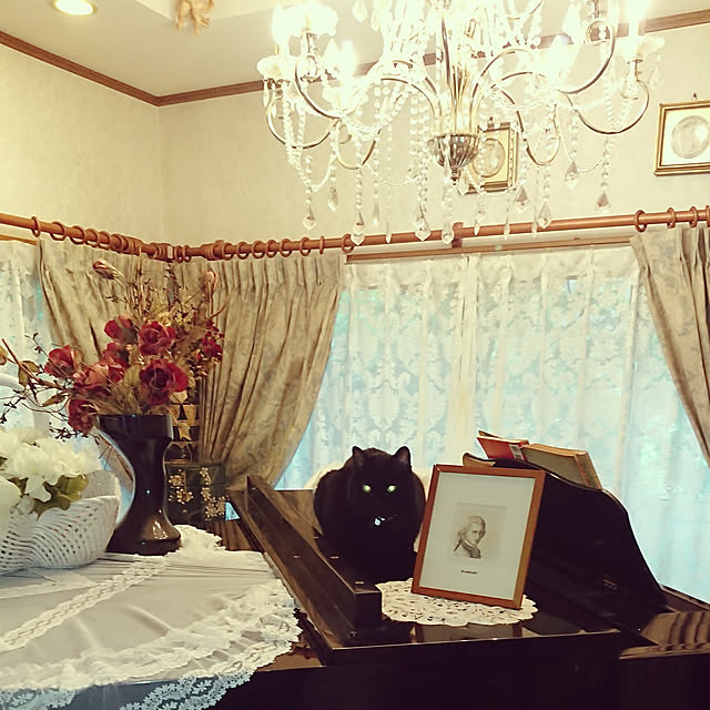 junkn6さんの実例写真