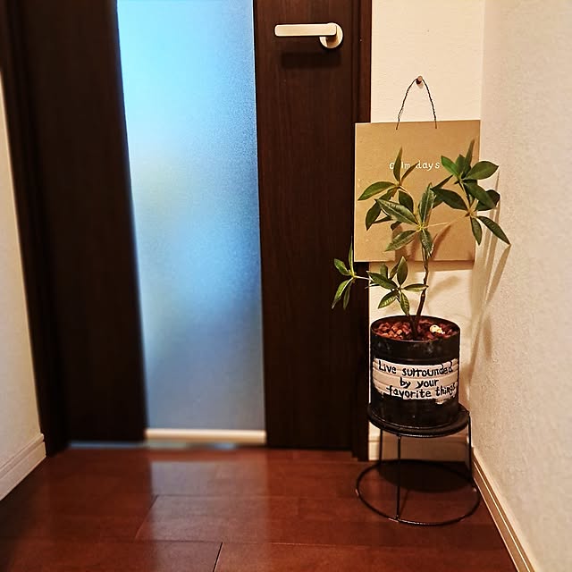 shinoさんの実例写真