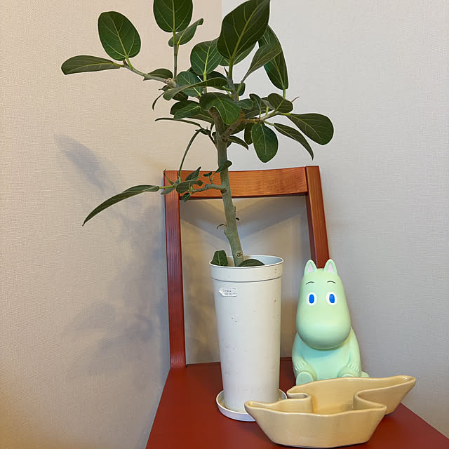 pokoさんの実例写真