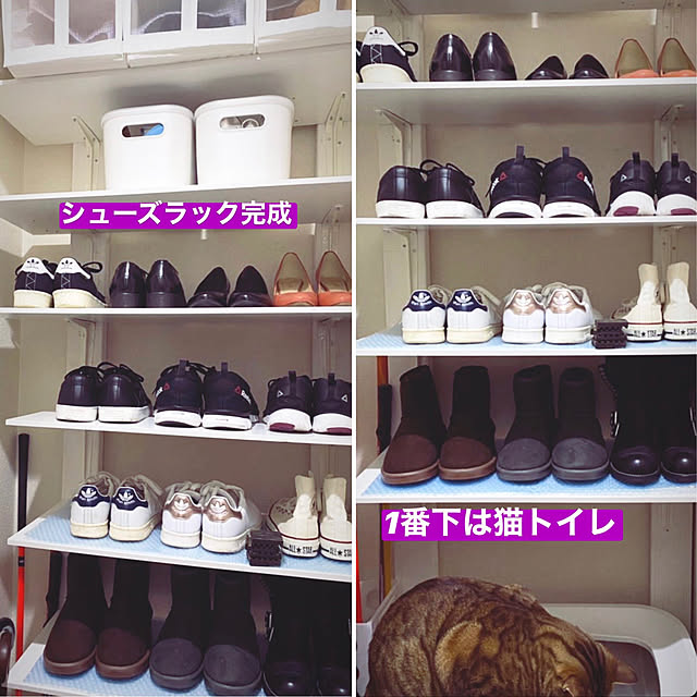 rioさんの実例写真