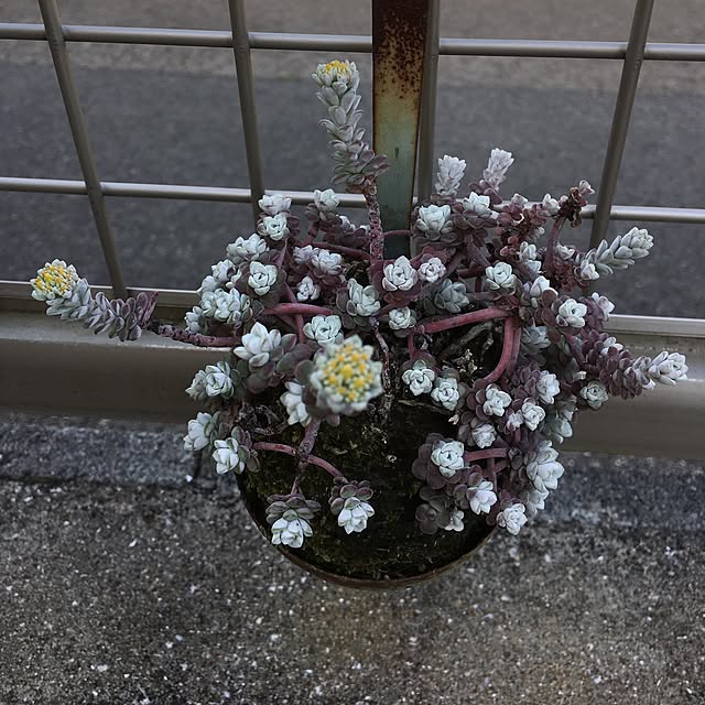 sanw2225719さんの実例写真