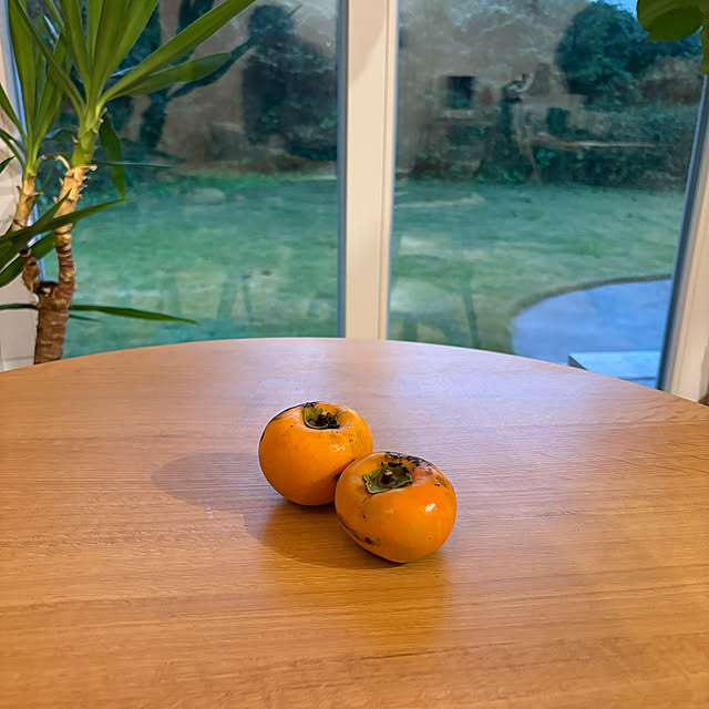 yasaigohanさんの実例写真