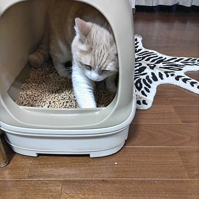yuuさんの実例写真