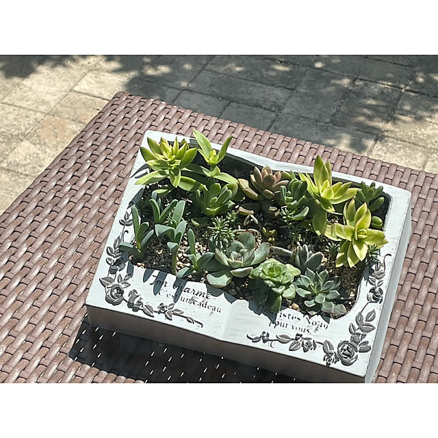 momocchiさんの実例写真