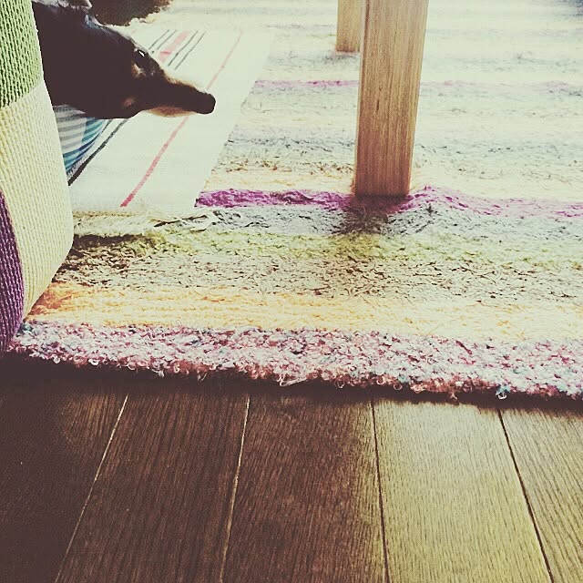 pitamさんの実例写真