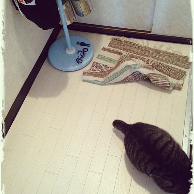shigimiさんの実例写真