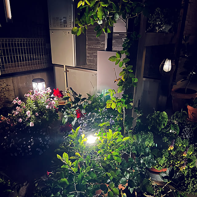 coraruさんの部屋