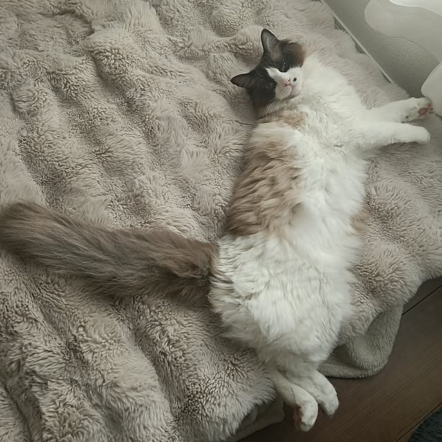 ouchi__...さんの実例写真