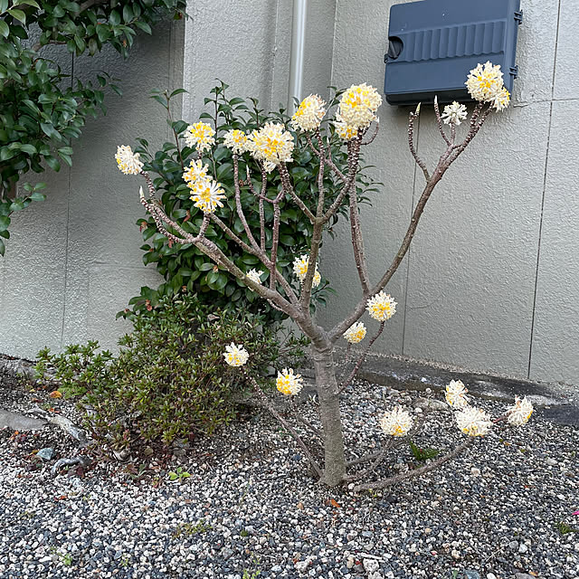 shin0719さんの部屋