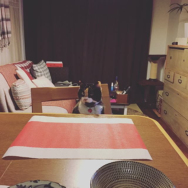 Rieさんの実例写真