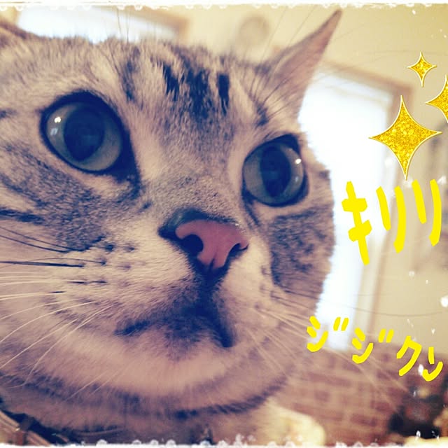 Yuriさんの実例写真
