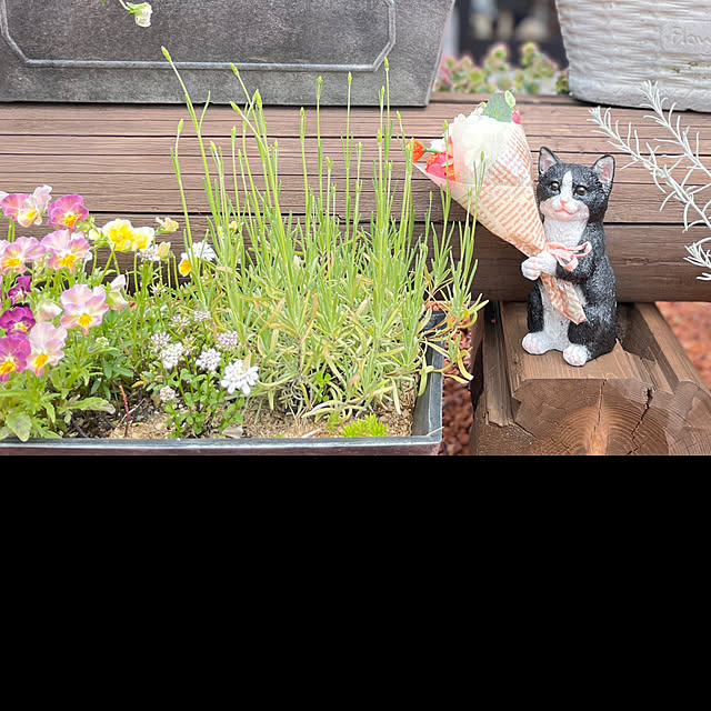 nekosamaさんの実例写真