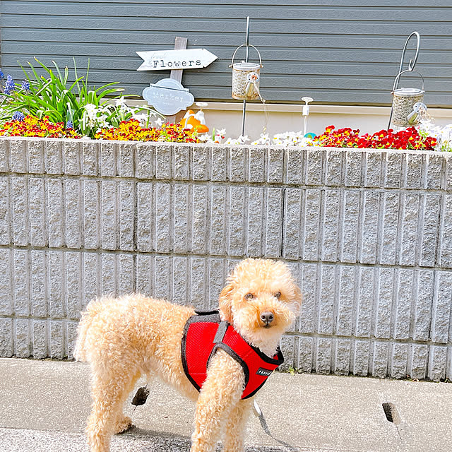 eriharuさんの部屋