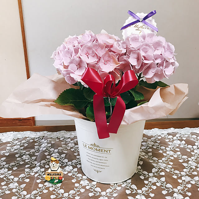 yukarinさんの実例写真
