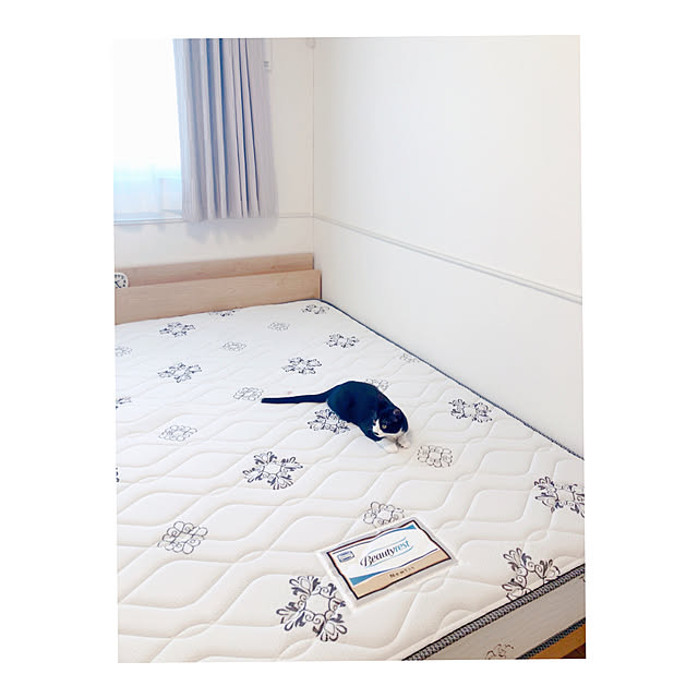 hijikiさんの実例写真