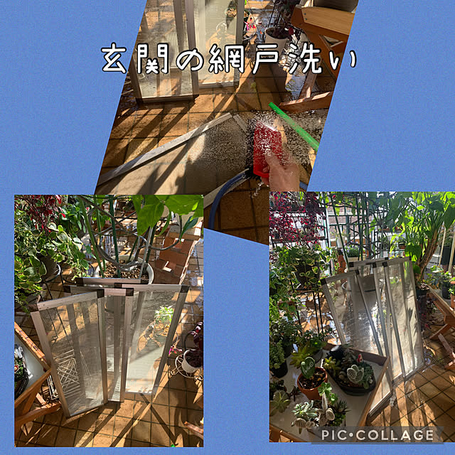 Aqettyさんの実例写真