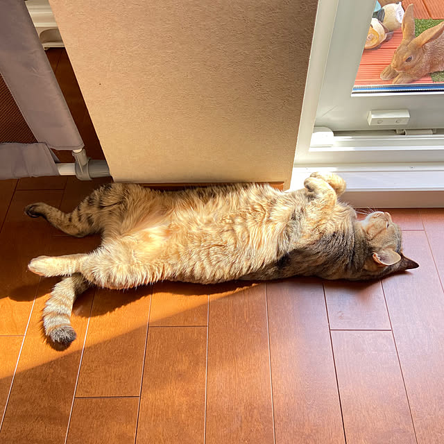 hansho.sさんの実例写真