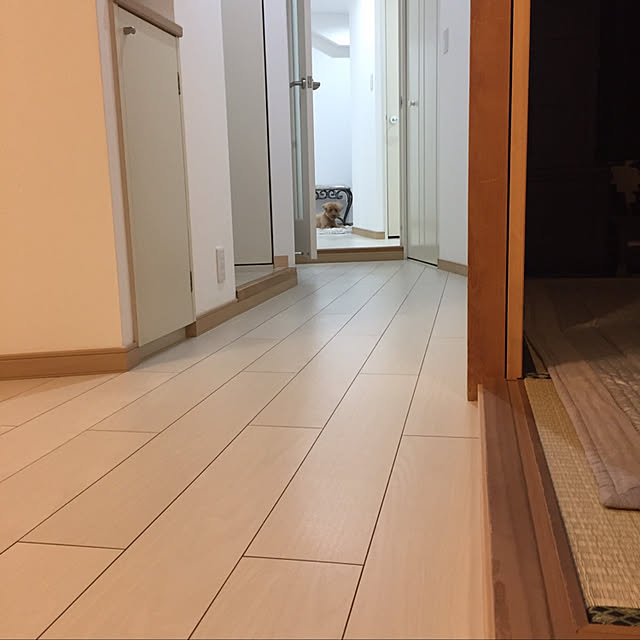 qooquさんの実例写真